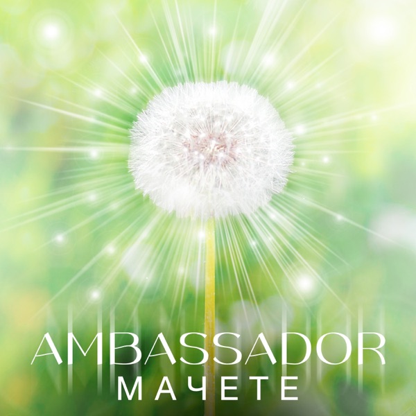 Ambassador