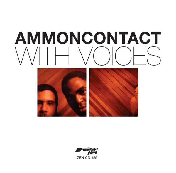 Ammon Contact