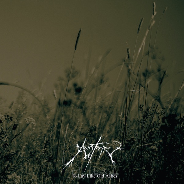 Austarr